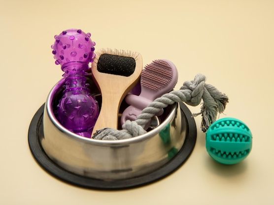 Najlepsze akcesoria dla psów – co warto kupić w 2026 roku