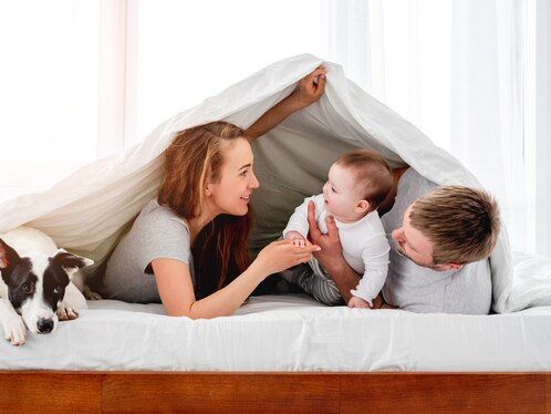 Jak wybrać idealne legowisko dla Twojego psa? Kompleksowy przewodnik